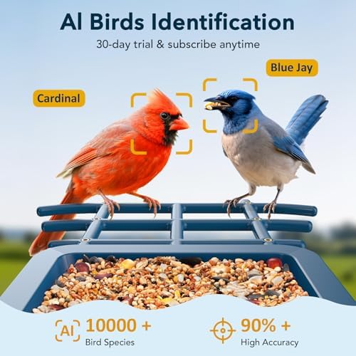 PeckCam® Bird Feeder with Camera Solar Powered 2K Live Video Auto Capture