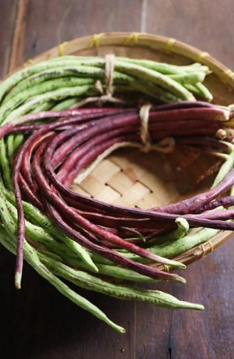 Red and Green Mix Yard Long Bean Seeds - 1/4 Pound Dark Green & 1/4 Pound Red Noodle - for 2026 Planting 2 Colors Mixed