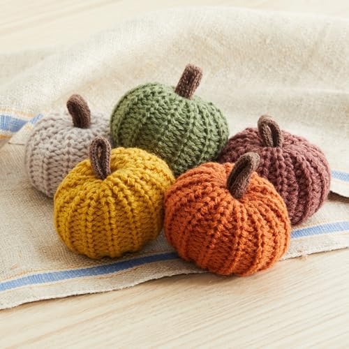 Set of 5 Mini Knit Pumpkins, Thanksgiving Table Centerpiece, Anthropology Home, Pottery Farmhouse and Barn Fall Décor, Bowl and Basket Filler, Autumnal Aesthetic, Cute Shelf Sitter, Hygge (Autumn Set)