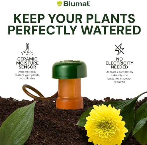 Blumat Classic Self-Watering Stakes - Prevents Overwatering and Underwatering for Healthy Growth While You are Away - Ideal for Indoor Plant Watering, 3 Pack, w Adapter