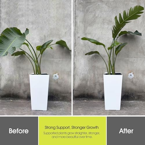 RIFNY Plant Stakes for Indoor Plants, Plant Support Stakes, 14 Inch