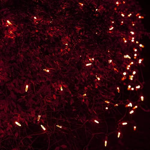 Wintergreen Lighting 100 M5 Red LED Net Lights, 4 x 6 ft Green Wire Indoor/Outdoor Commercial Grade Holiday & Valentine’s Day Hedge and Outdoor Christmas Decor