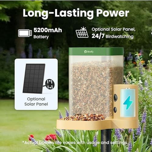 Birdfy Smart Bird Feeder with Camera for Beginners, Solar Powered Rookie