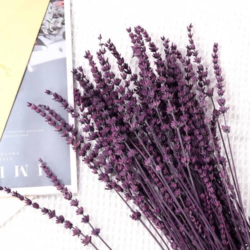 Dried Lavender Flowers, Preserved Purple Lavender Bundle, 15" -17" Natural Dried Flowers Bouquet for Wedding Vase Decor, Home Fragrance, Bathroom, Photo Props, Crafts, 70g (2.5oz)