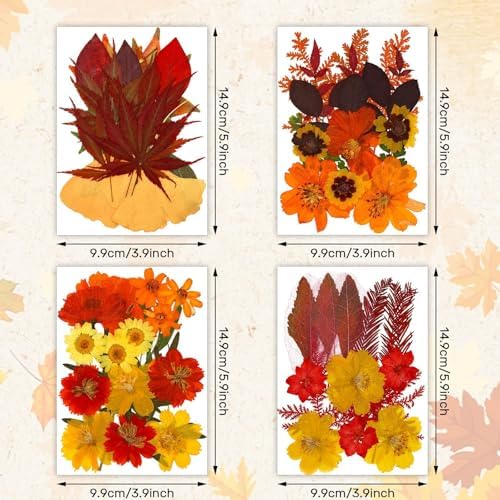 Augshy Fall Dried Pressed Flowers and Leaves for Autumn Crafts Resin DIY