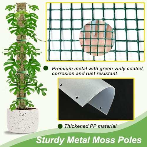 60"/40"/24" Metal Moss Pole, D Shape Sphagnum Moss Pole, Moss Poles for Climbing Plants, Monstera, Indoor Climbing Plants (3 Each of 60" 40" 24")