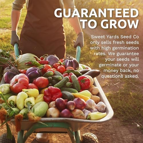 Organic Herb Seeds Variety Pack - 10 Individual Packs - 2026 Season - Basil, Cilantro, Dill, Thyme, Parsley and More! for Indoor & Outdoor Planting (Non-GMO, Certified Organic) (Pack of 2)