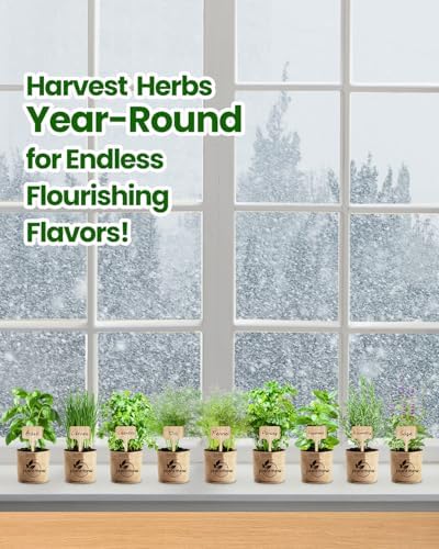 Gift for Women, Mom, Her – 9 Herb Indoor Window Garden Kit | Complete Herb Seeds Starter Set with Pots, Soil, Tools & Markers | Heirloom Herbs | Birthday, Housewarming, New Home, Mother's Day
