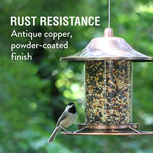 Perky-Pet 517282 Copper Panorama Bird Feeder 312C, 1 Tier
