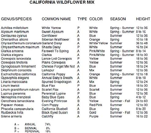 Dirt Goddess Super Seeds~ California Wildflower Seed Mix (1/4 Lb) 211,000 Seeds