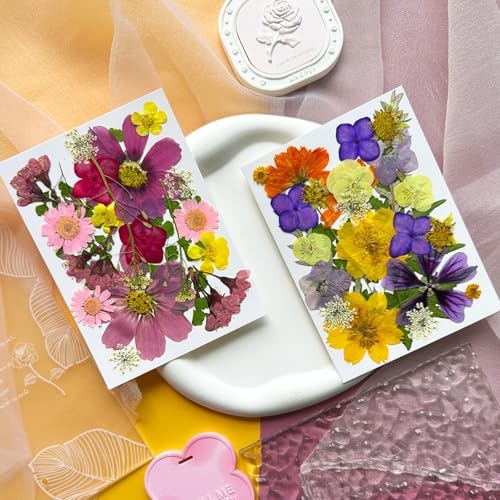 46Pcs Pressed Dried Flowers Real Natural Leave for DIY Resin Molds Candle Jewelry Nail Crafts