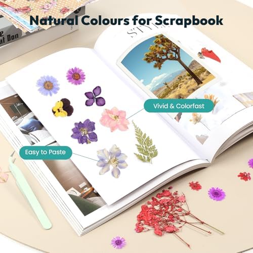 Dried Flowers, Resiners 58Pcs Pressed Flowers for Craft