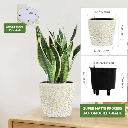 Dexceder 9x8 Self Watering Planter (White Gold Crackle)
