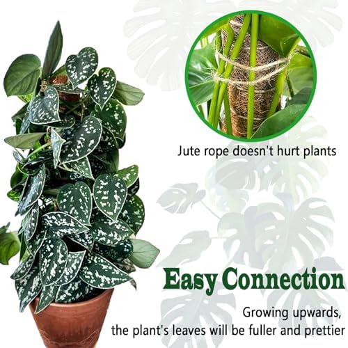 8 Pack 22 Inch Moss Poles, Stackable Moss Pole for Plants Monstera, 70 Inch Tall Moss Poles for Climbing Plants Indoor, Coir Totem Plant Support Stakes Stand for Potted Plants, Pothos