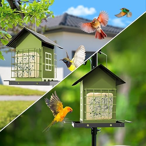 FlowaFoli Bird Feeders for Outdoors Hanging, Metal Bird Feeder with Double Suet Cage Cake, Large Capacity, Birdfeeders Sturdy & Weatherproof, Easy to Clean & Refill, Great for Attracting Wild Birds