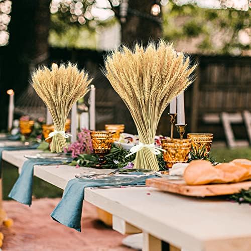 Uieke 17.7 Inches Dried Wheat Stalks, 400 Stems Dried Flowers 100% Natural Wheat for Home Kitchen Wedding Party Table Centerpiece Harvest Wreath Boho Farmhouse DIY Decoration
