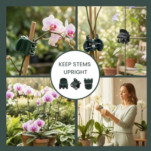 60 Pcs Dual‑Size Orchid Clips, Dark Green Plant Stem Support Clips