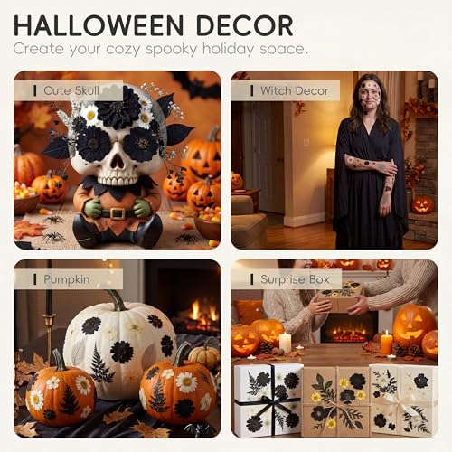 LUXEEASE 90P Halloween Black & White Dried Pressed Flowers