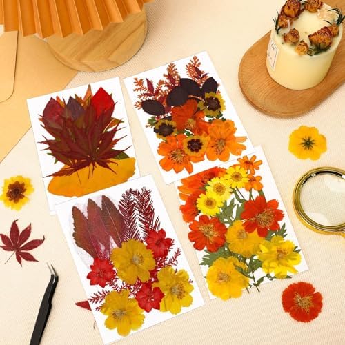 Augshy Fall Dried Pressed Flowers and Leaves for Autumn Crafts Resin DIY