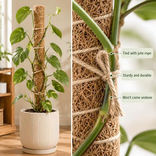 4 Pcs 15in Stackable Support，Moss Poles for Climbing Plants