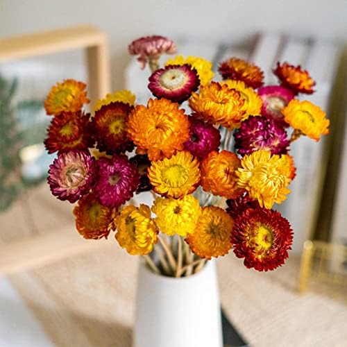 40 Pcs Dried Daisy Flower Bouquet, 17" Multicolor Fall Flowers, Vase Filler
