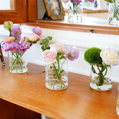 12pcs Glass Cylinder Vases for Centerpieces - 4 inch Clear Glass Flowers Vases Bulk, Hurricane Candle Holders Floating Candle Vases for Table Centerpiece Formal Dinners Home Decor