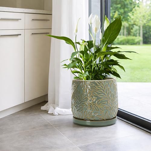 D'vine Dev Embossed Leaves Ceramic Planter, 8 in, Olive, 27-A-Q-0