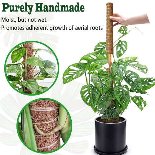 8 Pack 22 Inch Moss Poles, Stackable Moss Pole for Plants Monstera, 70 Inch Tall Moss Poles for Climbing Plants Indoor, Coir Totem Plant Support Stakes Stand for Potted Plants, Pothos