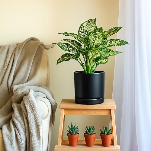 D'vine Dev 8.2 Inch Ceramic Planter Pot, Black, 94-O-D-2
