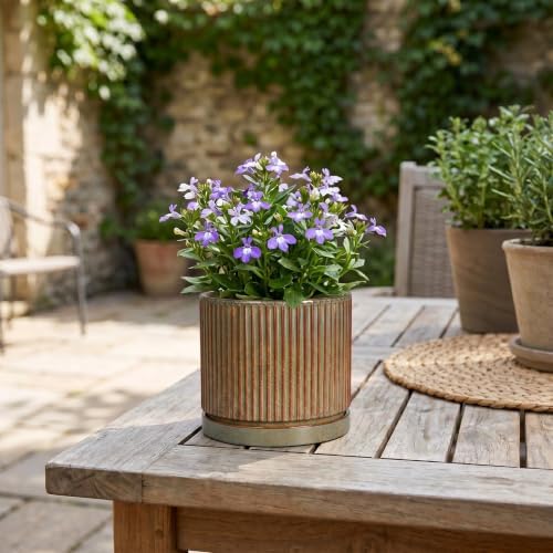 4 Inch Pots for Plants, Ceramic Plant Pots with Saucer, Retro Brown