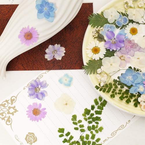 Dried Pressed Flowers Real Pressed Flowers Natural Dry Leaves Bulk Mixed Colorful Herbs Kit with Tweezers for Scrapbooking DIY Candle Jewelry Crafts Making Nails (White, Purple, Blue)