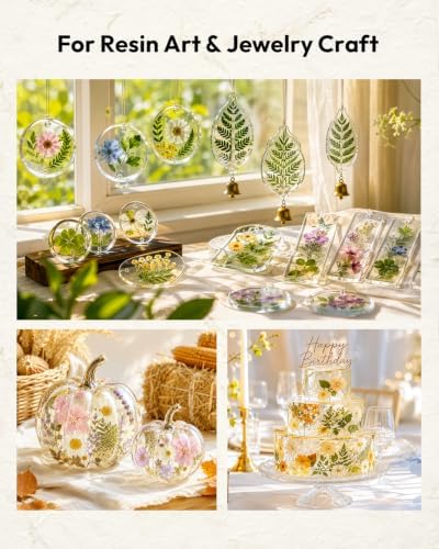 Dried Flowers, Resiners 100Pcs Pressed Flowers for Craft