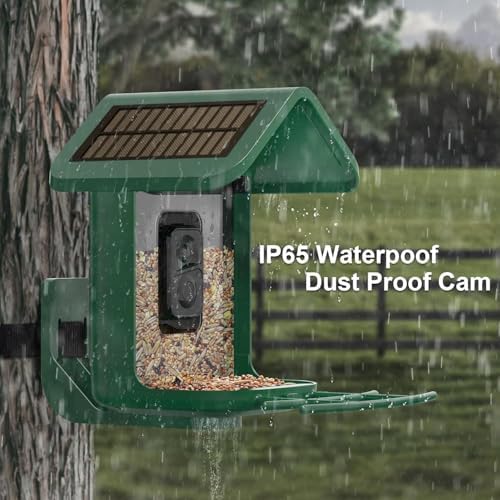 Smart Bird Feeder with Camera Solar Powered, 2K Live Stream for Backyard