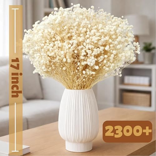 2300+ Dried Baby's Breath Flowers 17" Gypsophila Stems for Decor