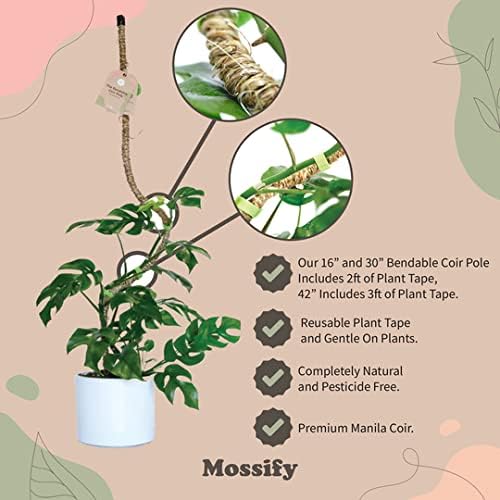 Bendable Coir Pole for Climbing Plants, Sturdy, 30 in | Shapeable Steel Core Wrapped in Natural Manila, Monstera