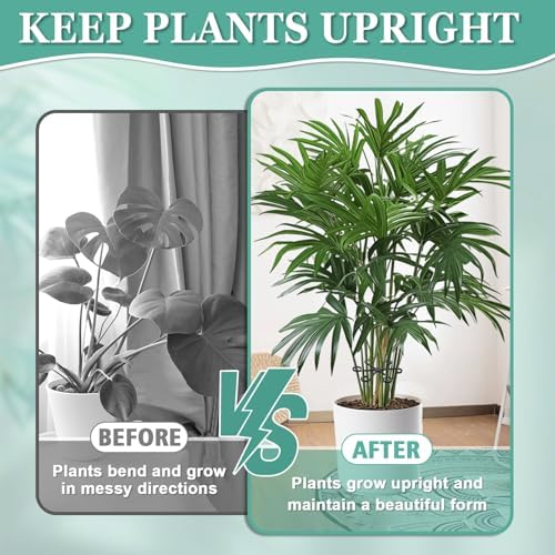 16pcs Plant Stem Support, Monstera Plant Support for Indoor Plants