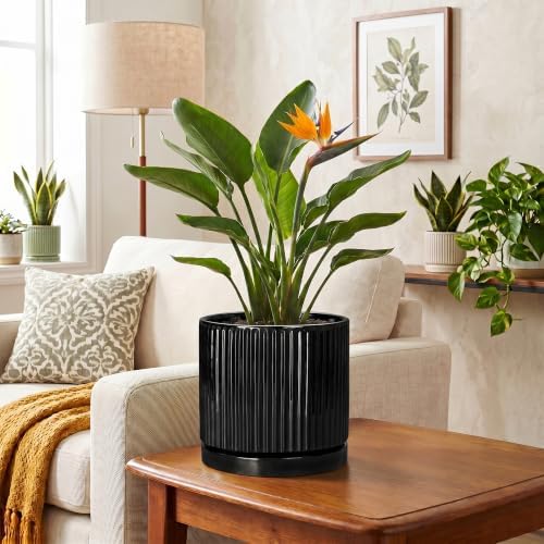 8 Inch Planter, Ceramic Pots for Plants, Round Plant Pot, Black