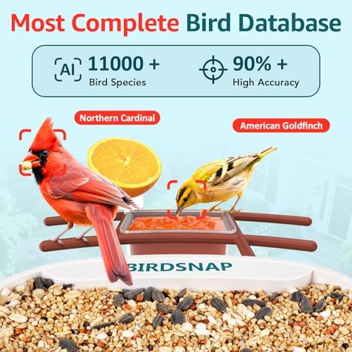 birdsnap® TUC Bird Feeder with Camera Solar Powered 2K Video with 32GB Card