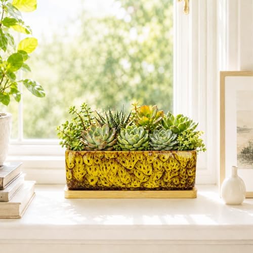 Succulent Pots, 7'' Large Long Rectangle Planters with Drainage Tray
