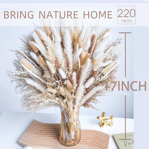 220PCS Natural Dried Pampas Grass Boho Home Decor Bouquet Phragmites Dried Flowers Bouquet for Wedding Floral Arrangements Home Decorations (220PCS)