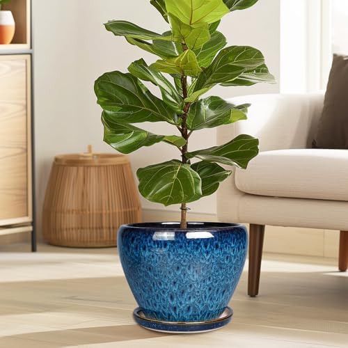 Ceramicfor 10 Inch Ceramic Planter Pot, Ceramic Plant Pot for Indoor Outdoor Plants, Large Flower Pot with Drainage Hole and Saucer, Blue