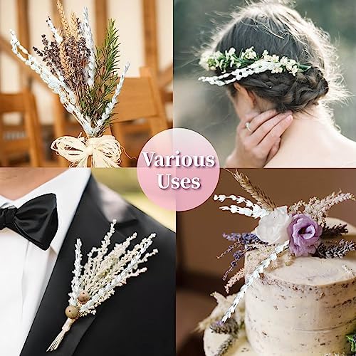 Glicrili Dried Lavender Flowers Real Stems White Bouquet for Vase Decor