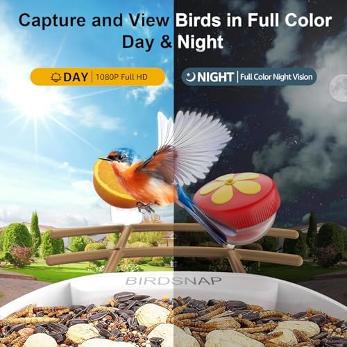 birdsnap® PAV Bird Feeder with Camera Solar Powered 2K Live Video 64GB Card