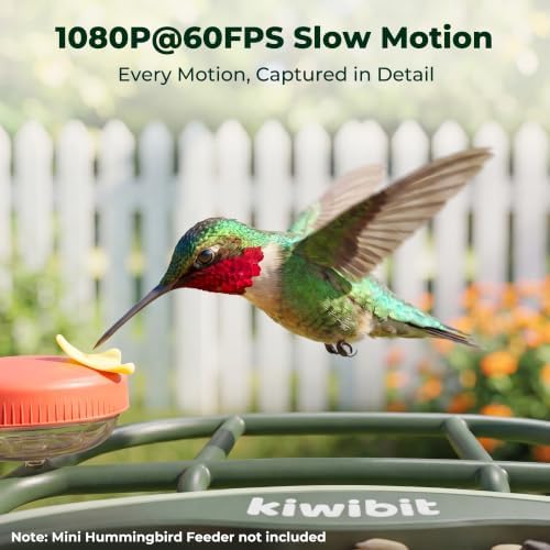 Kiwibit Solar Powered Smart Bird Feeder with Camera 2 Mini, 4K Live Stream