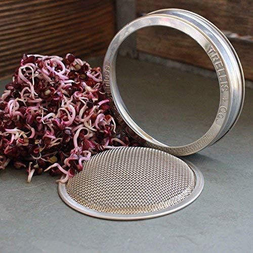 Trellis + Co Stainless Steel Sprouting Kit 4 Pack Rust Proof 316 Stainless | Curved Mesh, Fits Most Wide Mouth Mason