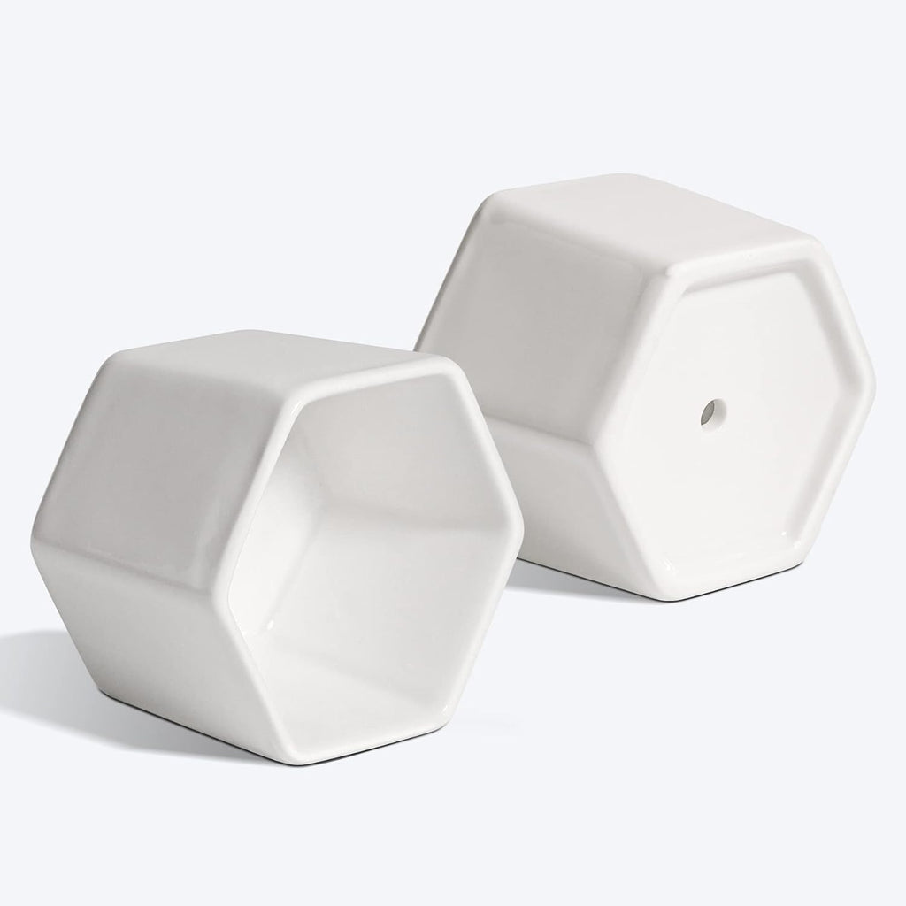 T4U Small Succulent Pots 12 Pack, Mini Flower Planters with Drainage White | Live cactus bonsai starter, Indoor