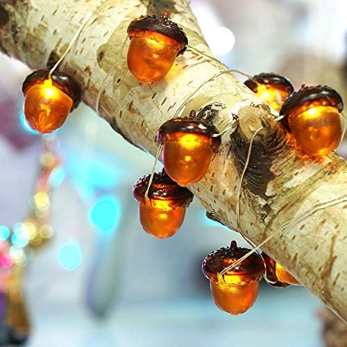 BOHON 3D Acorn String Lights Battery Battery Thanksgiving Fall Decorations