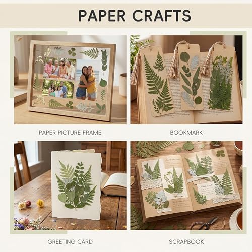 LUXEEASE 84P Dried Pressed Leaves, Earthy Green