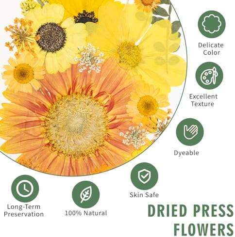 203 Pcs Dried Pressed Flowers for Resin Crafts, Real Natural Pressed Flowers and Leaves Kit Butterfly Stickers Vacuum Sealed Dry Flowers for DIY Epoxy Resin Jewelry Molds, Candle Soap Making, Nail Art
