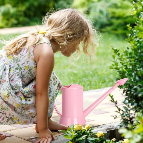 XXXFLOWER 1/2 Gallon Small Indoor Plant Watering Can, 2L Long Spout Removable Nozzle Flower Watering Pot for Office House Indoor Garden（Pink,67 oz）